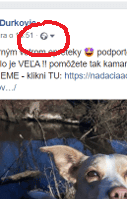Darcovská výzva